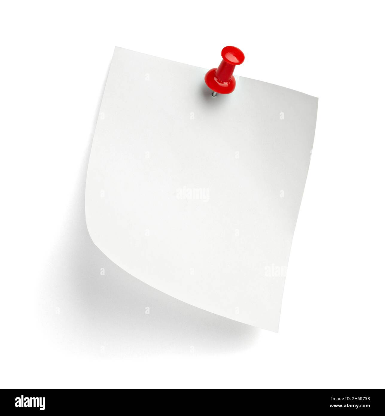 notez le message « punaise » sur papier rouge blanc noir Banque D'Images