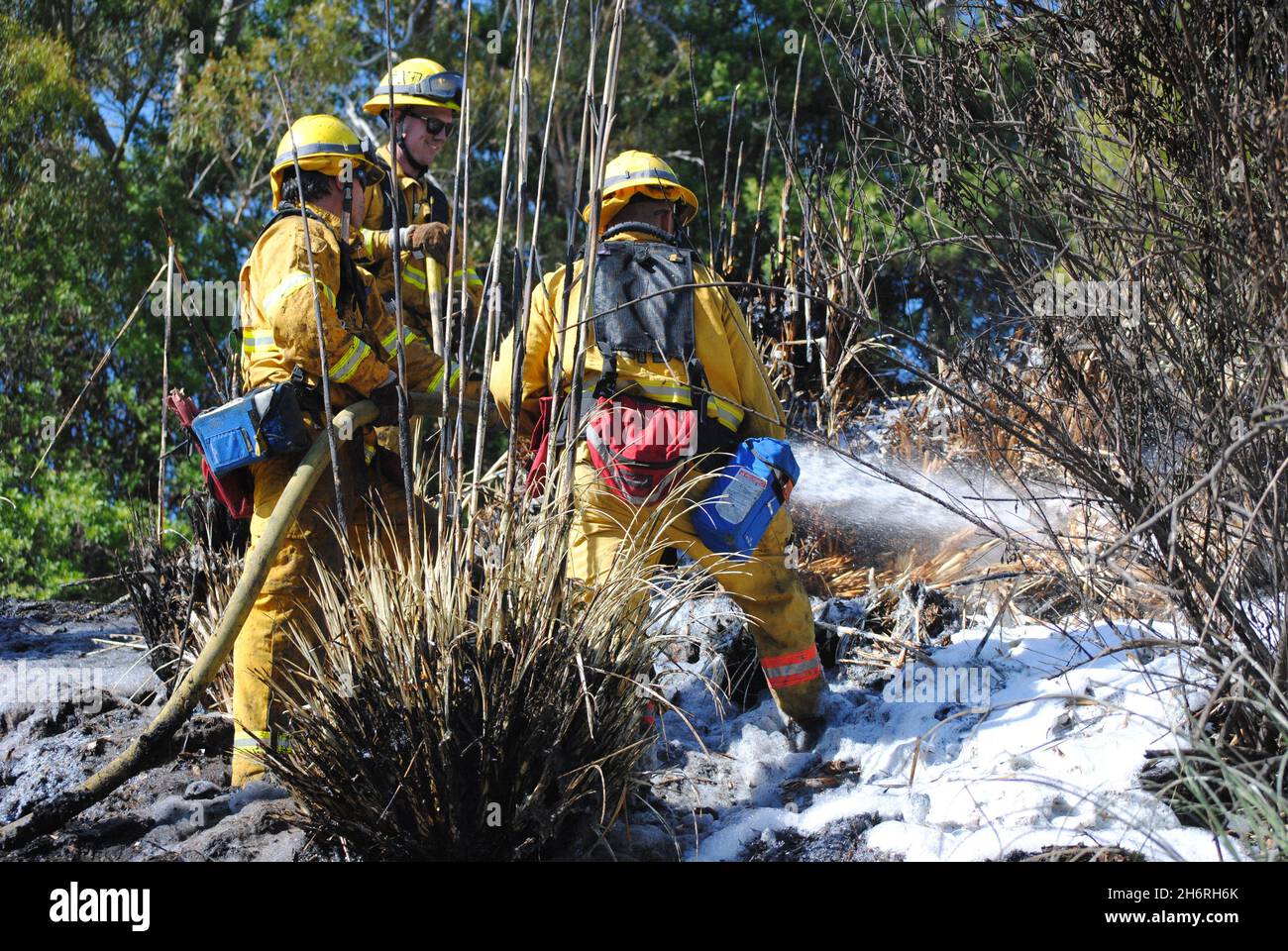 Les pompiers de la ville de San Diego travaillent un feu de broussailles près de la route d'état 52, appliquant de la mousse de lutte contre le feu à la dense sous-croissance. Banque D'Images