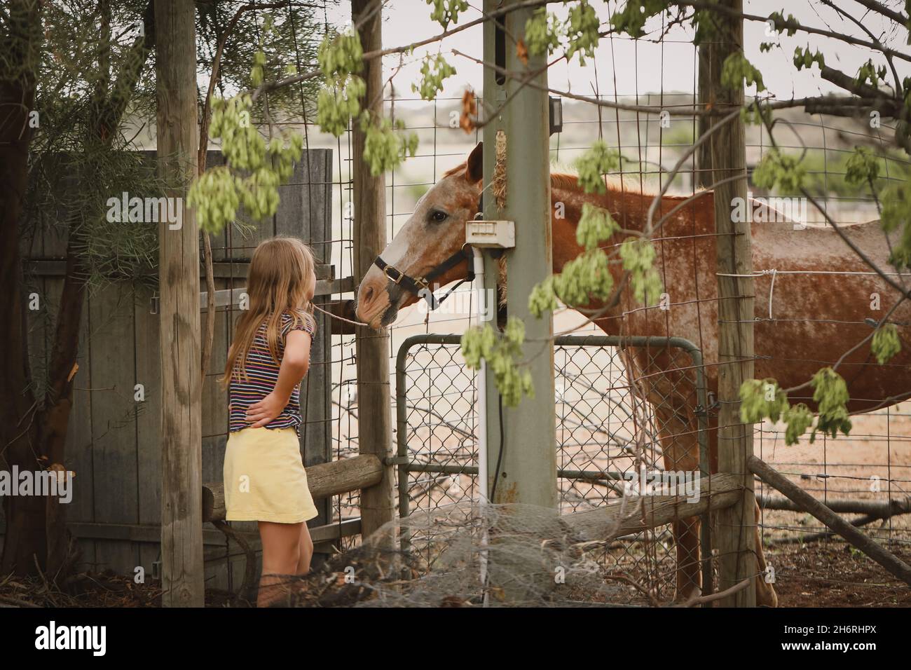 Fille debout à la clôture patrant animal de compagnie sympathique cheval sur la ferme Banque D'Images