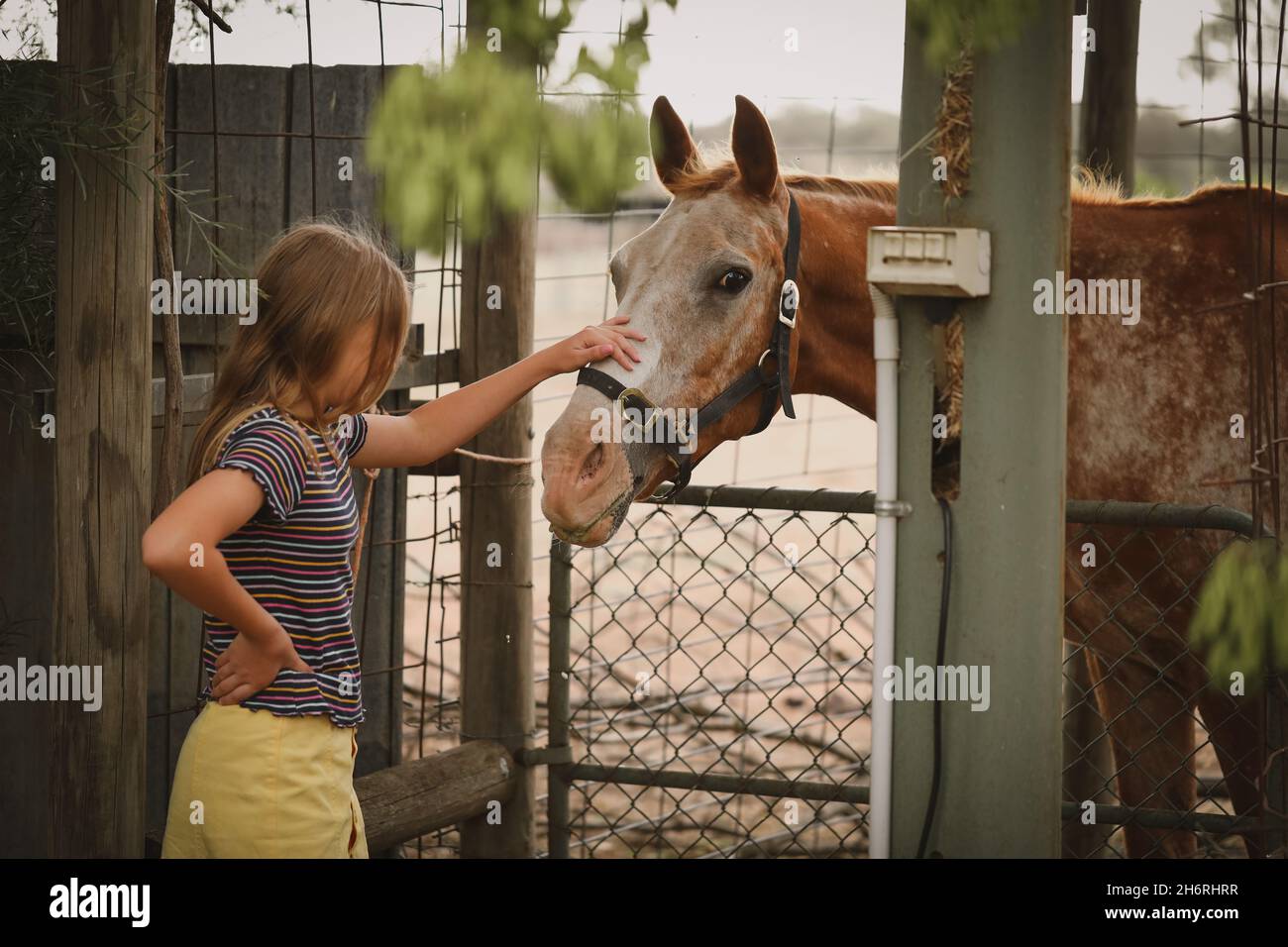 Fille debout à la clôture patrant animal de compagnie sympathique cheval sur la ferme Banque D'Images