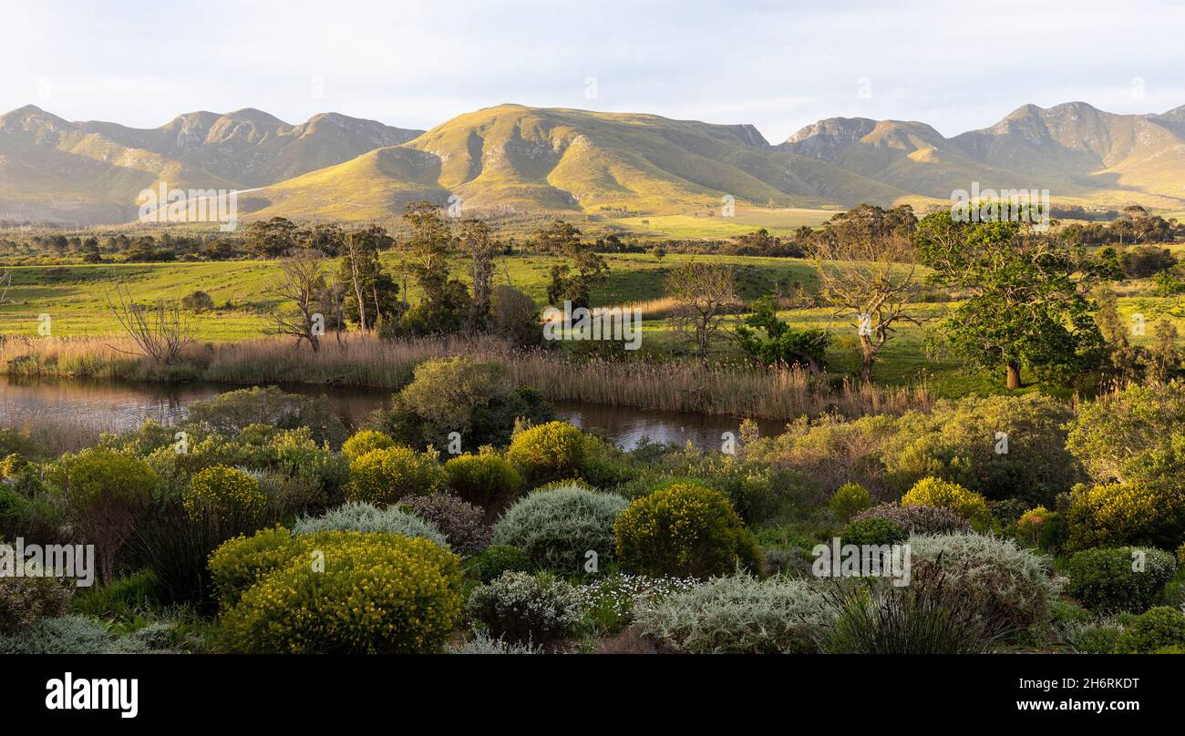 Vue sur un paysage paisible, la vallée de la rivière et une chaîne de montagnes Banque D'Images