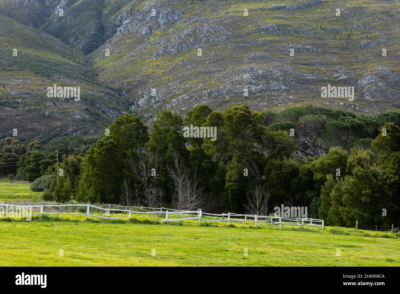 Paysage dans une plaine plate et vue sur les montagnes Klein, Banque D'Images