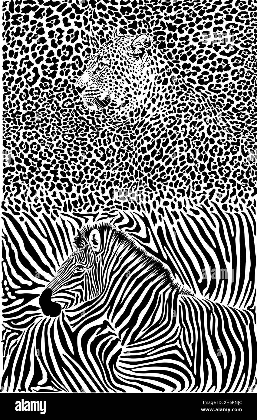 Zebra et Leopard sur fond noir et blanc Illustration de Vecteur