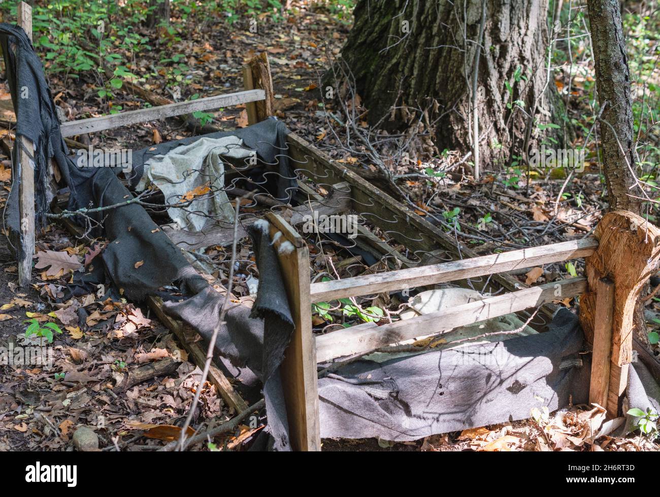 Lit laissé dans les bois pour pourriture.Exemple de dumping illégal. Banque D'Images