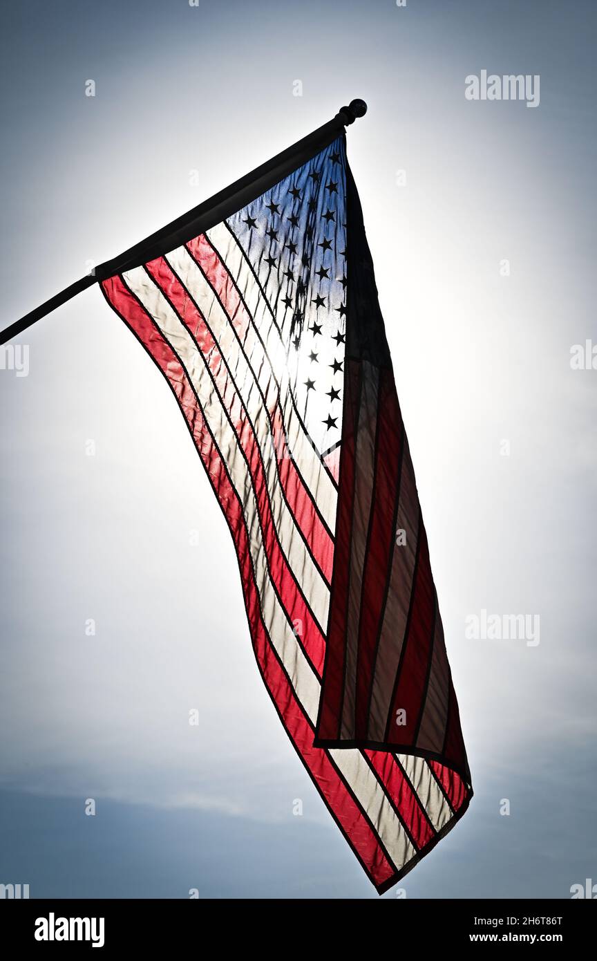 Drapeaux américains volant à l'occasion de la fête des anciens combattants (la version américaine de la journée de l'armistice), barre, VT, États-Unis. Banque D'Images