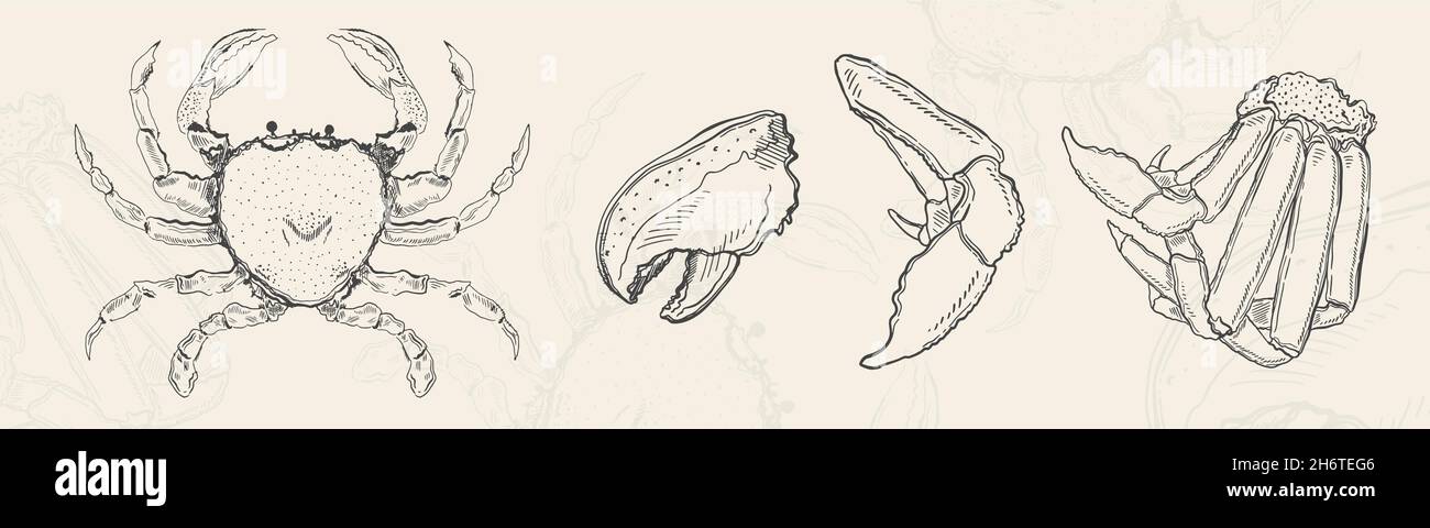 Illustration esquisse alimentaire.menu de conception d'élément dessiné à la main.Objet isolé sur fond blanc Illustration de Vecteur