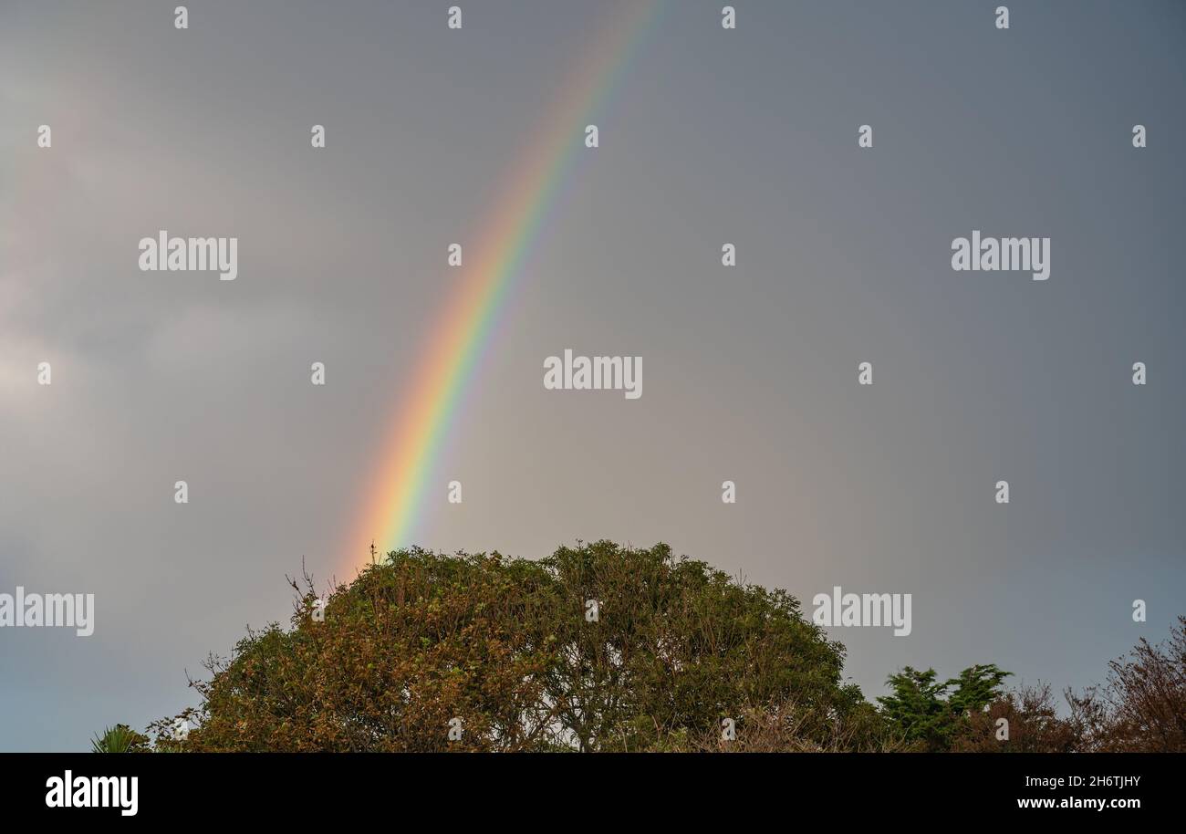 Arc-en-ciel sur les arbres lors d'une journée de pluie et de pluie avec des nuages gris et du ciel en automne au Royaume-Uni. Banque D'Images