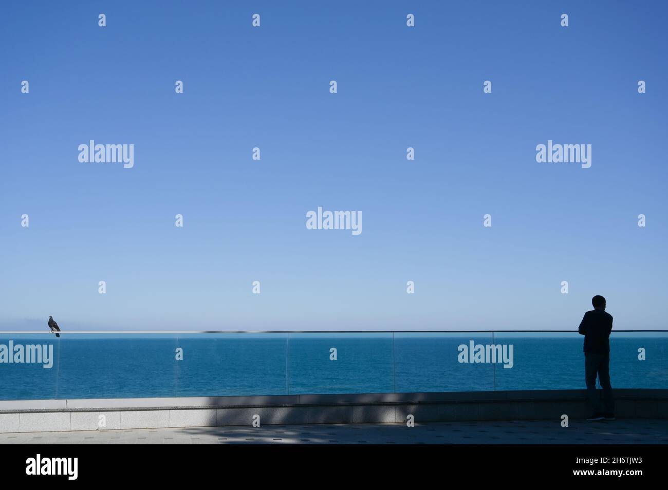 solitude concept d'un seul homme et seul oiseau colombe sur la promenade de la mer Banque D'Images
