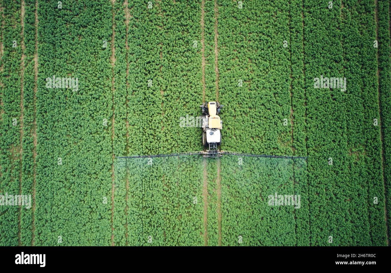 La machine du tracteur d'engrais se déplace sur un champ vert au-dessus de la vue de dessus du drone Banque D'Images La machine du tracteur d'engrais se déplace sur un champ vert au-dessus de la vue de dessus du drone Banque D'Images