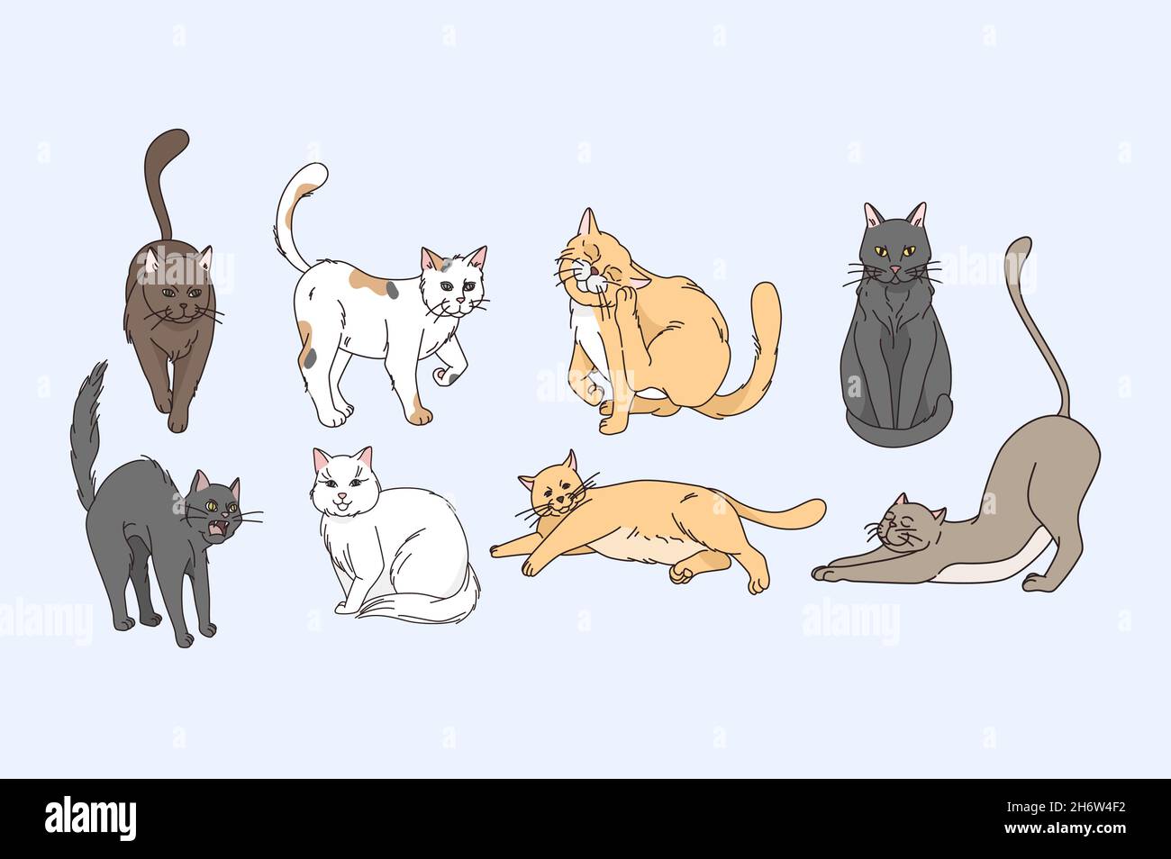 Variété de chats animaux concept.Ensemble de chats gris rouge blanc et marron s'étendant assis reposant et profitant de la vie illustration vecteur Illustration de Vecteur