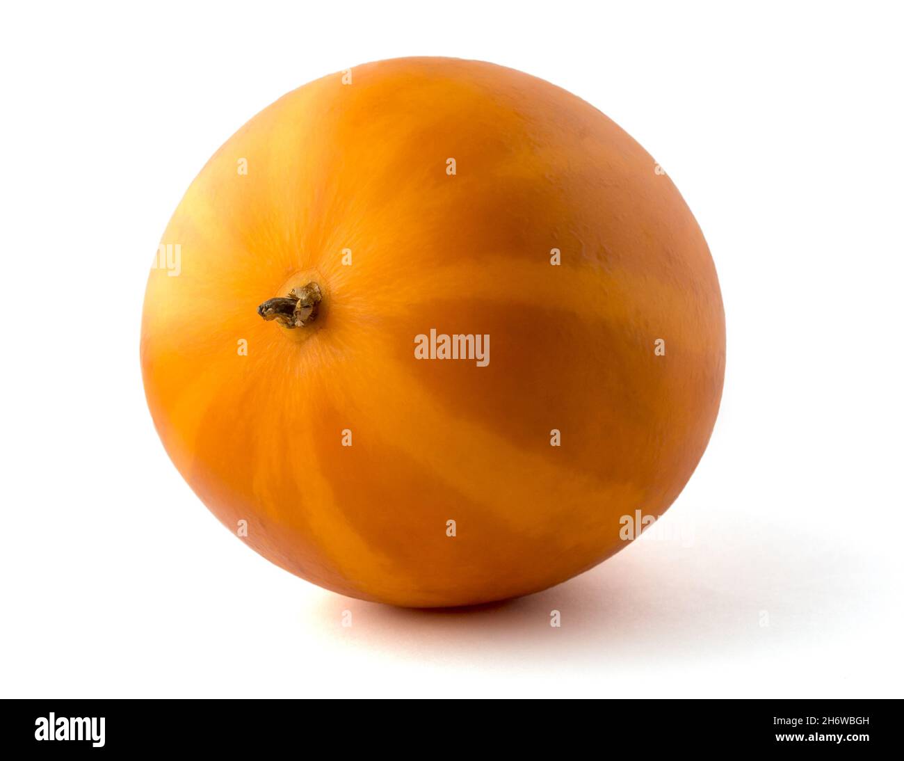 melon, cucumis melo, fruits comestibles à base de plantes sur fond blanc, gros plan Banque D'Images