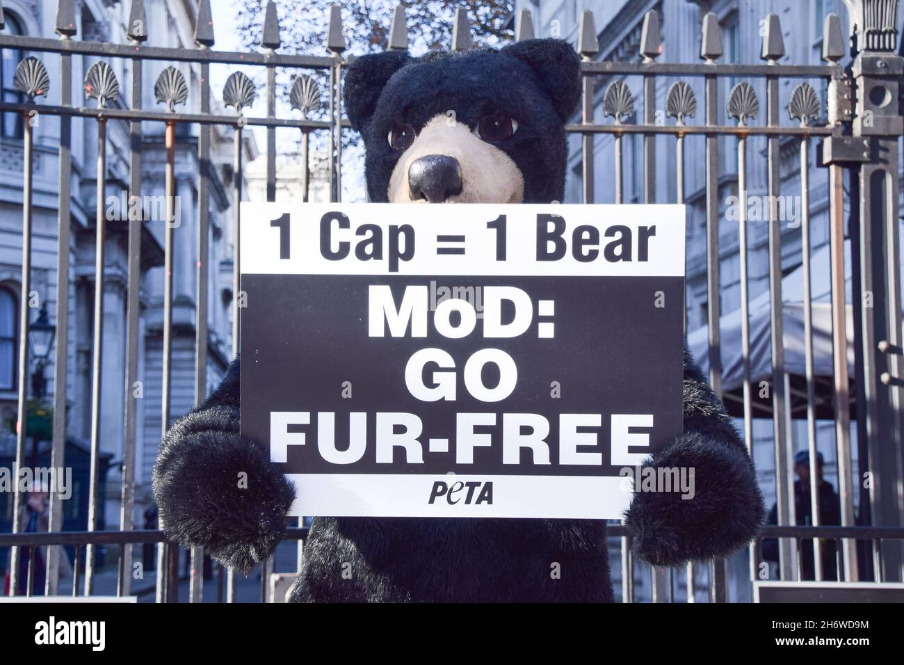 Londres, Royaume-Uni.18 novembre 2021.Un activiste PETA habillé comme un ours se tient à l'extérieur de Downing Street.PETA demande au gouvernement de remplacer la fourrure d'ours utilisée dans les casquettes de la Reine par la fausse fourrure fabriquée par ECOPEL.Il peut prendre la peau et la fourrure d'un ours pour faire juste une casquette.ECOPEL a offert de fournir gratuitement leur fausse fourrure au Ministère de la défense jusqu'en 2030.Credit: Vuk Valcic / Alamy Live News Banque D'Images