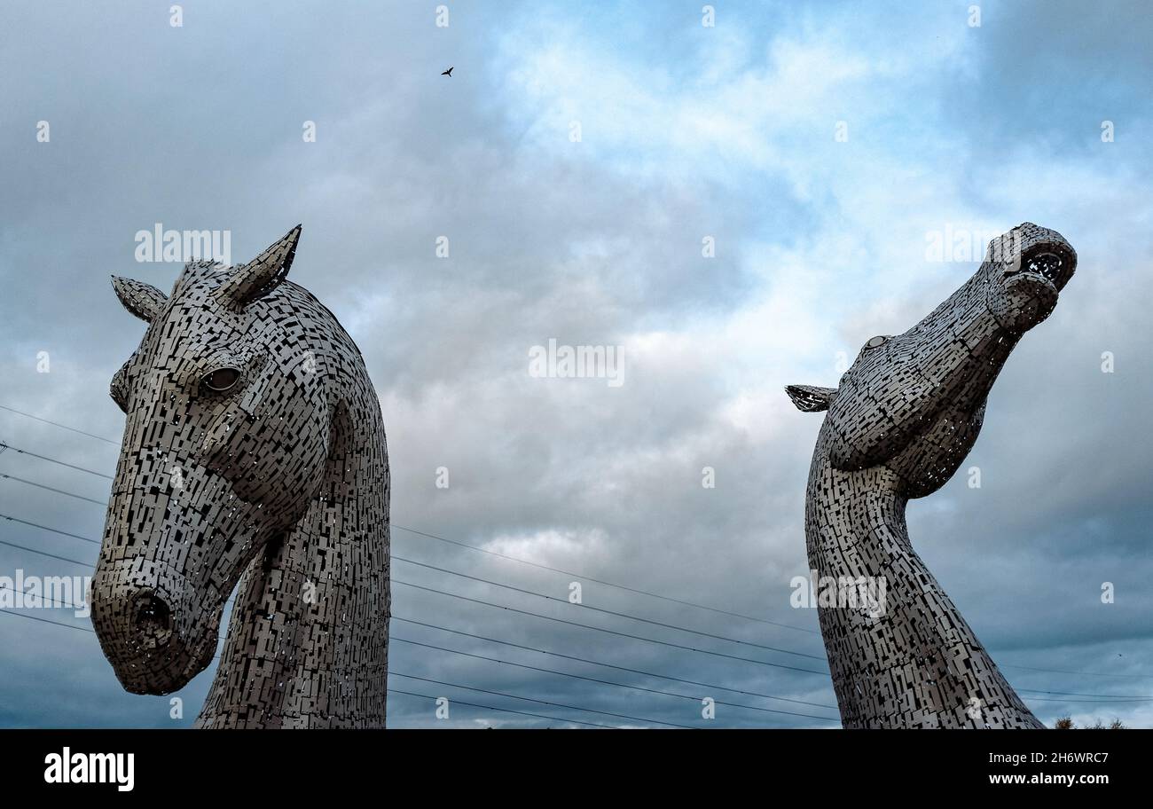 Les Kelpies d'Andy Scott, Kelpies sont des sculptures à tête de cheval de 30 mètres de haut, Helix Park, Falkirk, Écosse Banque D'Images