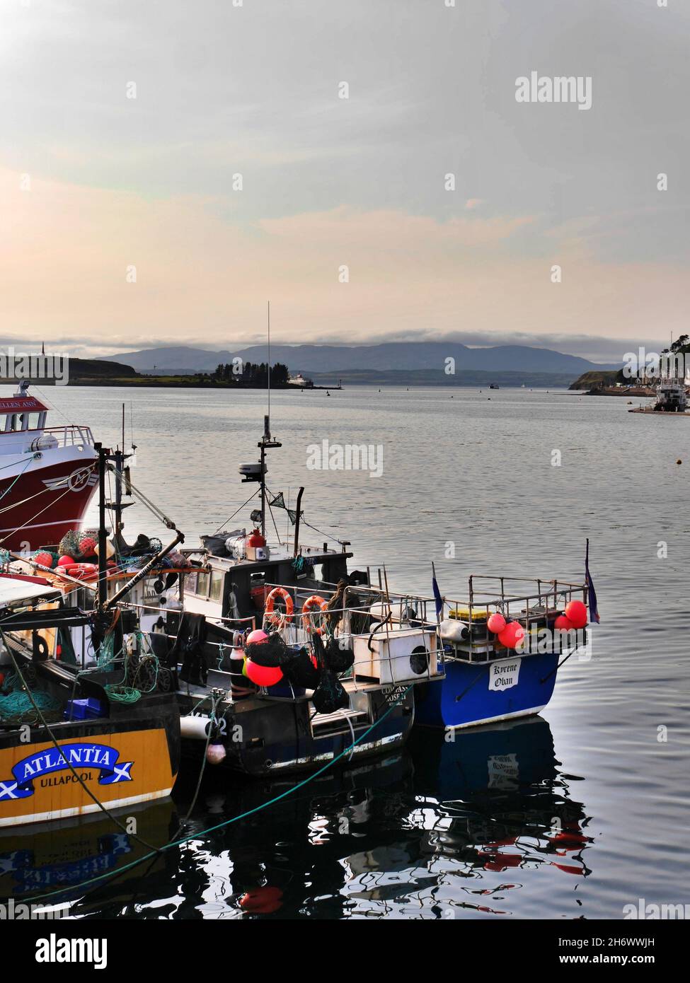 Gros plan de bateaux de pêche colorés à Port, Oban, Écosse Banque D'Images