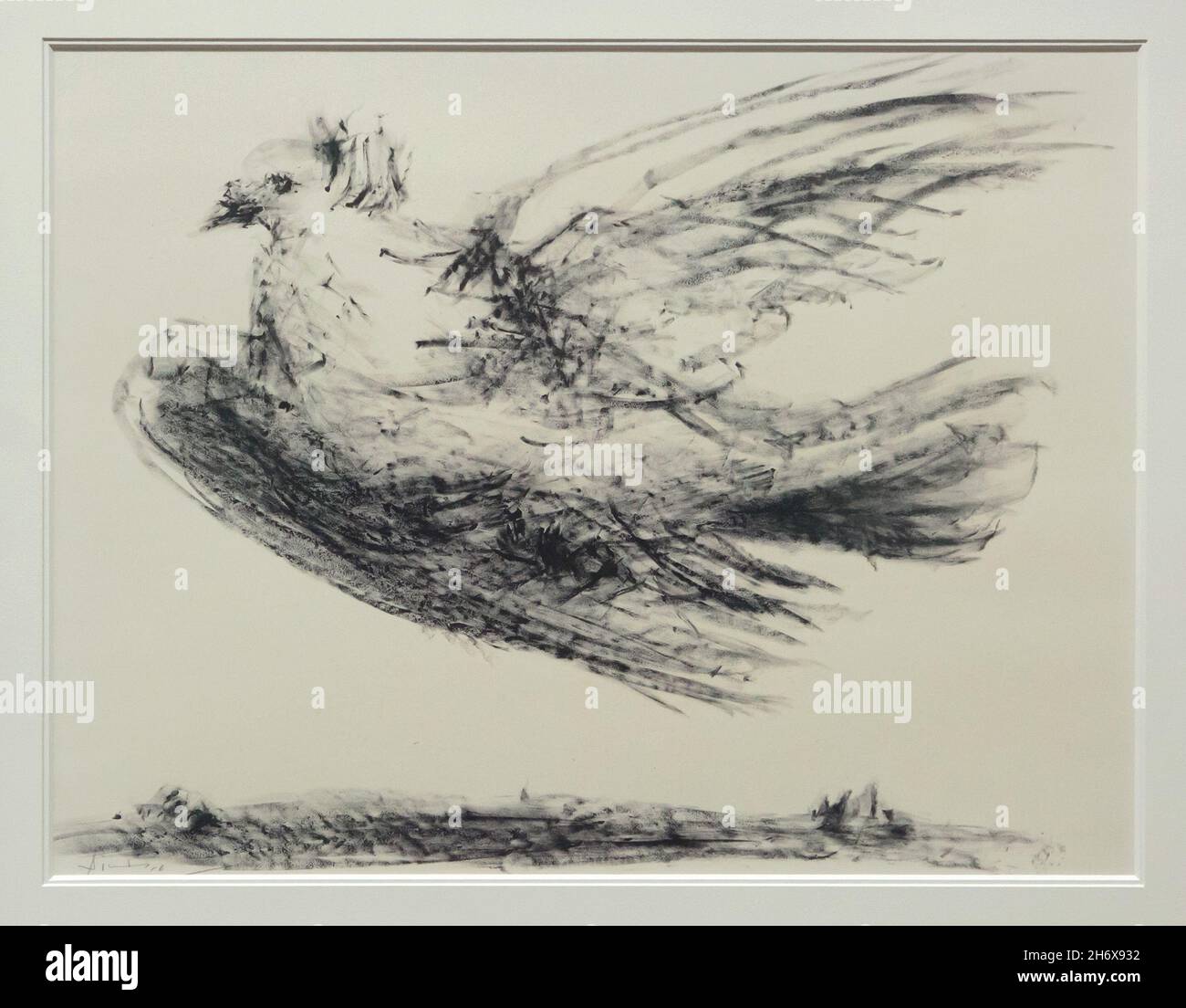 Lithographie 'Dove in Flight' de Pablo Picasso (1950) exposée au Musée Albertina de Vienne, Autriche. Banque D'Images