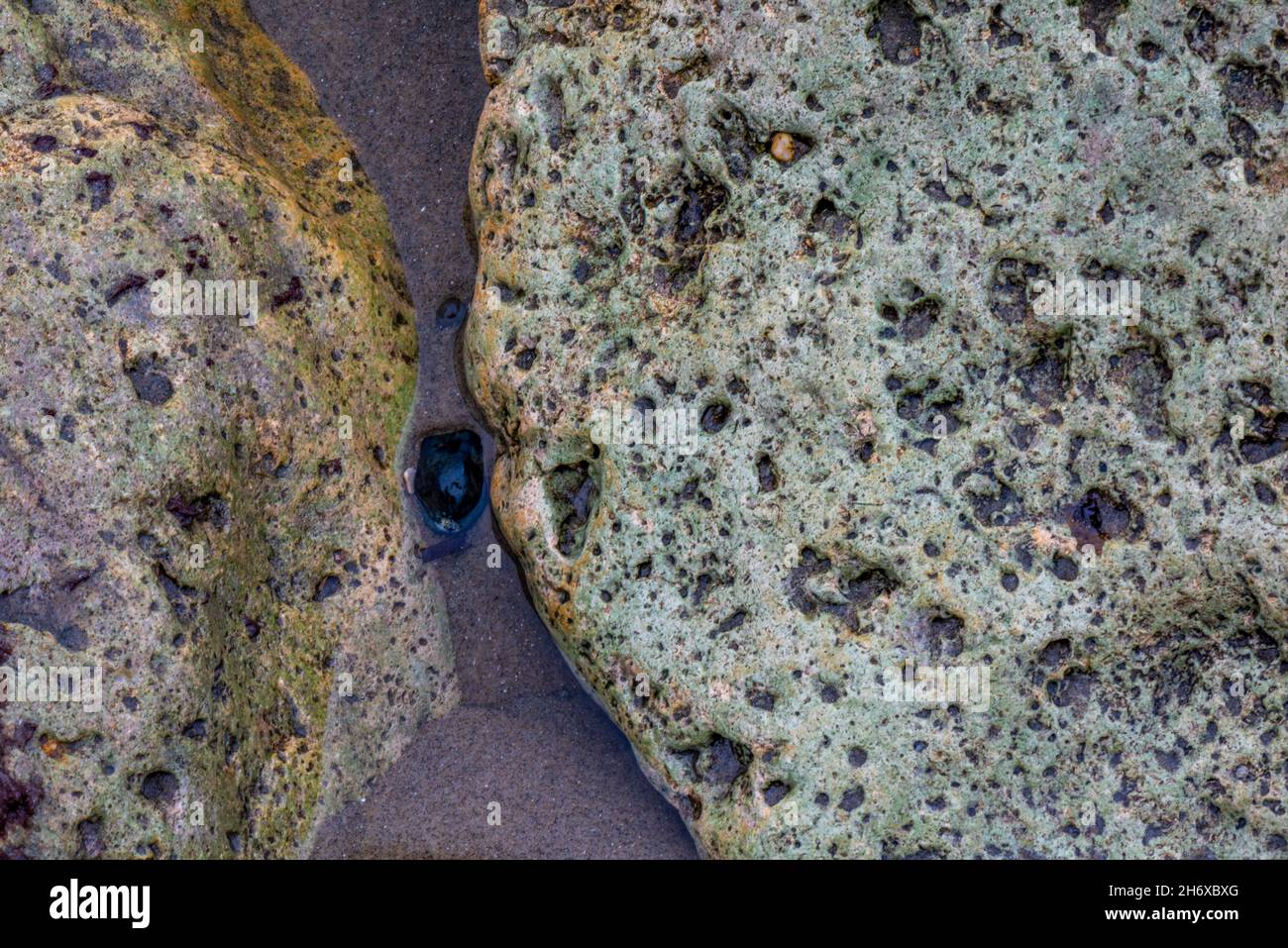 petite pierre noire de galet coincée entre deux gros blocs blancs sur une plage ou un tidepool, petit dos entre deux grandes formes blanches, Banque D'Images