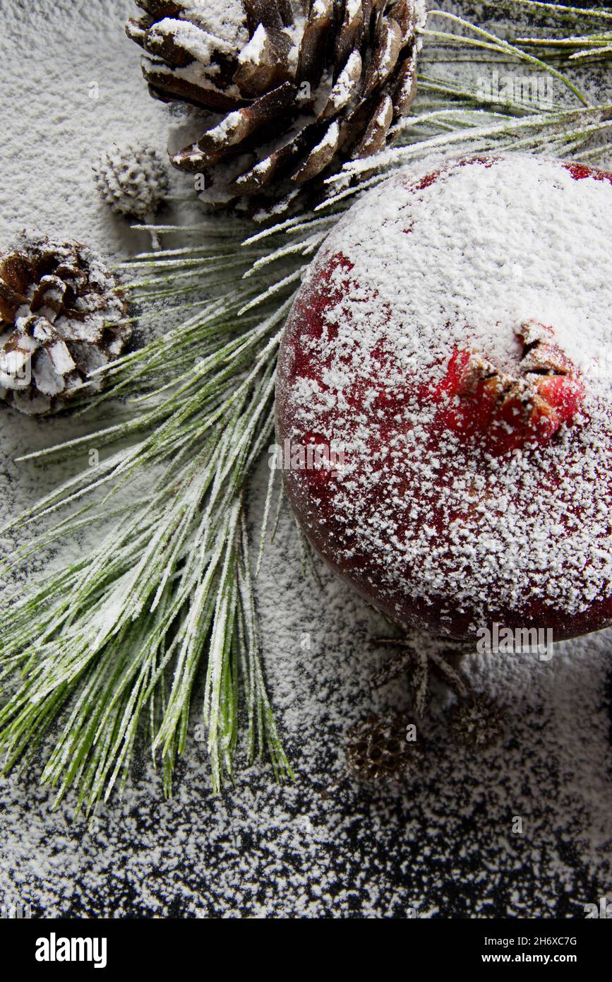 Grenade en hiver avec de la neige.Isolé. Banque D'Images