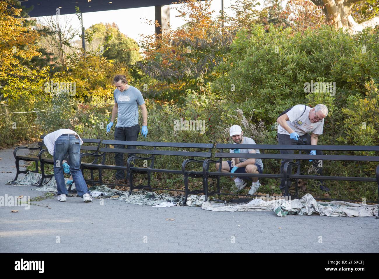 Des bénévoles peignent des bancs dans Prospect Park dans le cadre d'un effort pour le maintenir en bon état pour les milliers de personnes qui apprécient cette oasis urbaine de Brooklyn chaque semaine de l'année. Banque D'Images