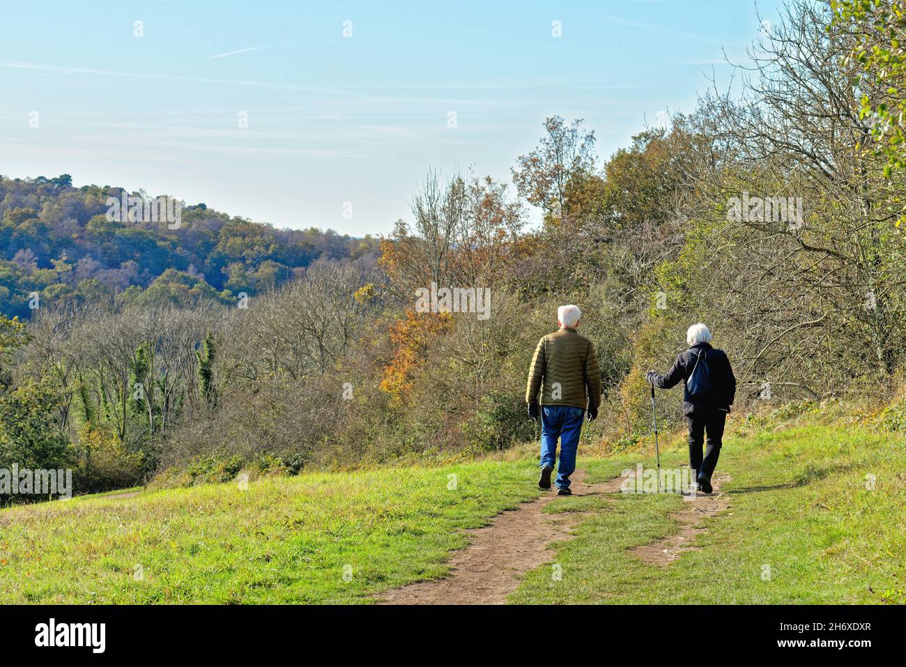Couple de personnes âgées aux cheveux blancs marchant sur la North Downs Way à Newlands Corner dans les collines de Surrey près de Guildford lors d'un jour d'automne ensoleillé Angleterre Royaume-Uni Banque D'Images