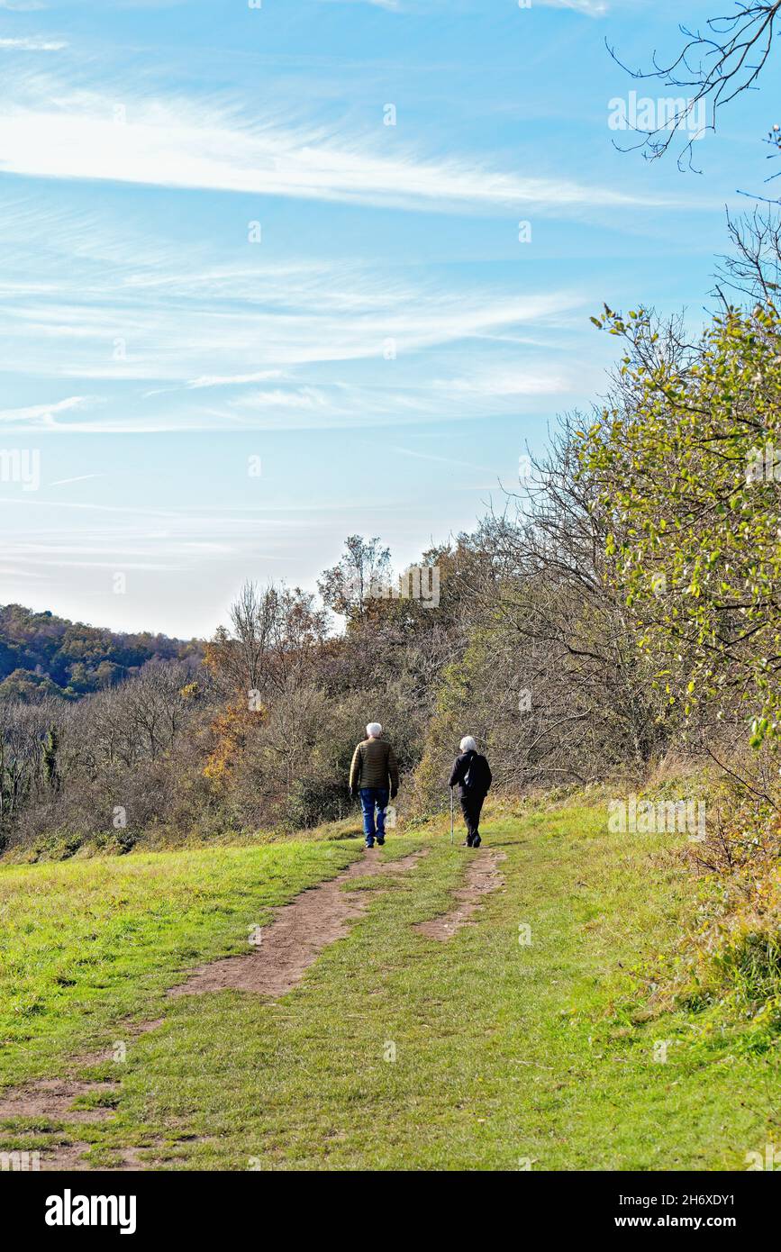 Couple de personnes âgées aux cheveux blancs marchant sur la North Downs Way à Newlands Corner dans les collines de Surrey près de Guildford lors d'un jour d'automne ensoleillé Angleterre Royaume-Uni Banque D'Images