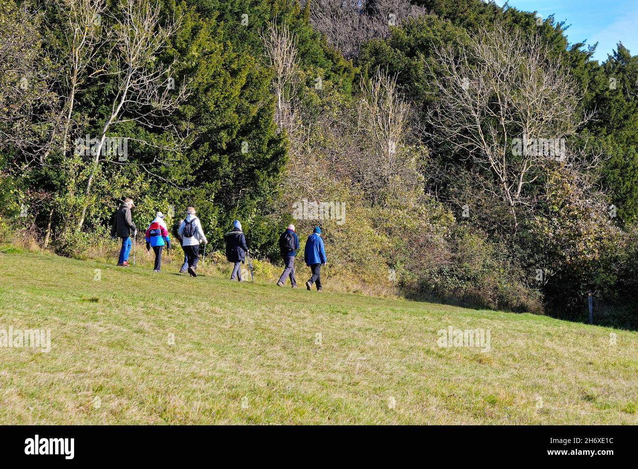 Un groupe de personnes âgées sur le sentier North Downs Way à Newlands Corner dans les collines de Surrey, lors d'une journée d'automne ensoleillée près de Guildford, Angleterre, Royaume-Uni Banque D'Images