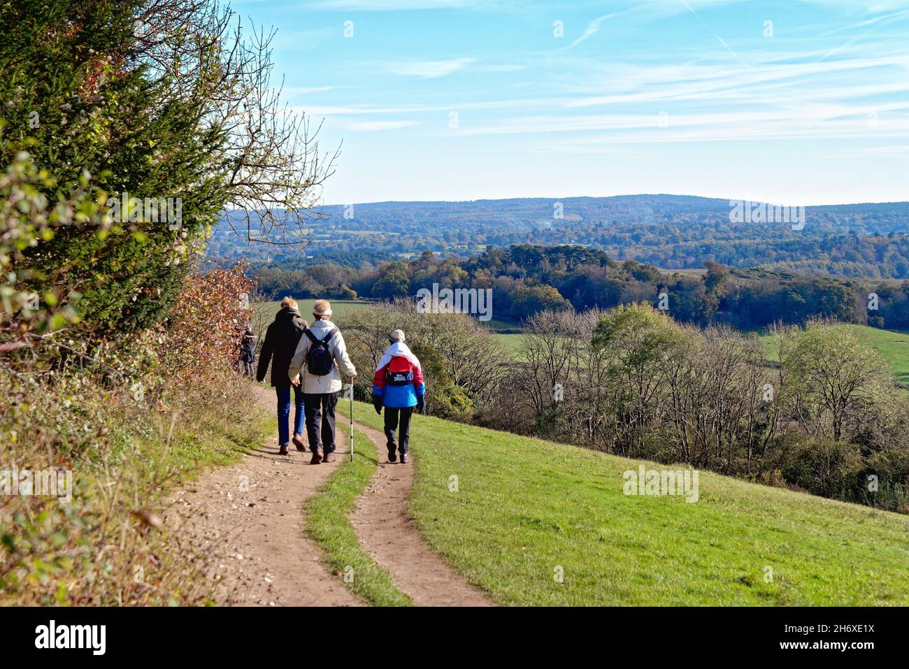 Un groupe de personnes âgées sur le sentier North Downs Way à Newlands Corner dans les collines de Surrey, lors d'une journée d'automne ensoleillée près de Guildford, Angleterre, Royaume-Uni Banque D'Images