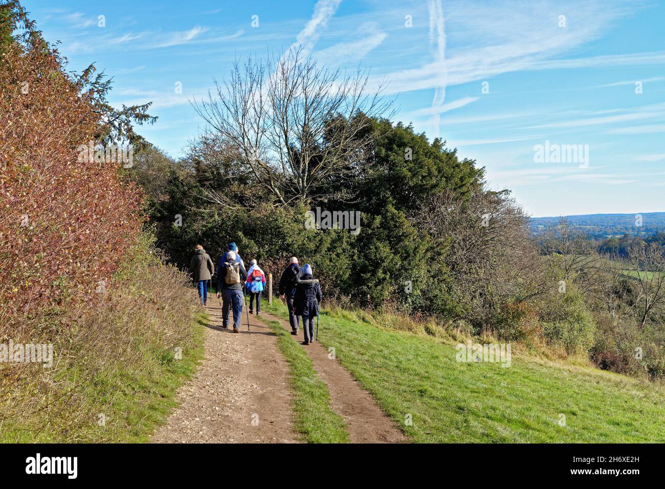 Un groupe de personnes âgées sur le sentier North Downs Way à Newlands Corner dans les collines de Surrey, lors d'une journée d'automne ensoleillée près de Guildford, Angleterre, Royaume-Uni Banque D'Images
