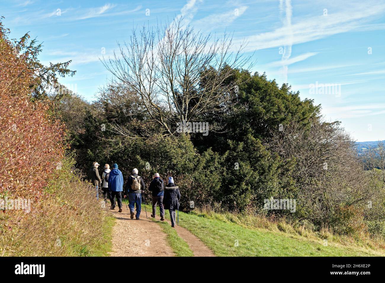 Un groupe de personnes âgées sur le sentier North Downs Way à Newlands Corner dans les collines de Surrey, lors d'une journée d'automne ensoleillée près de Guildford, Angleterre, Royaume-Uni Banque D'Images