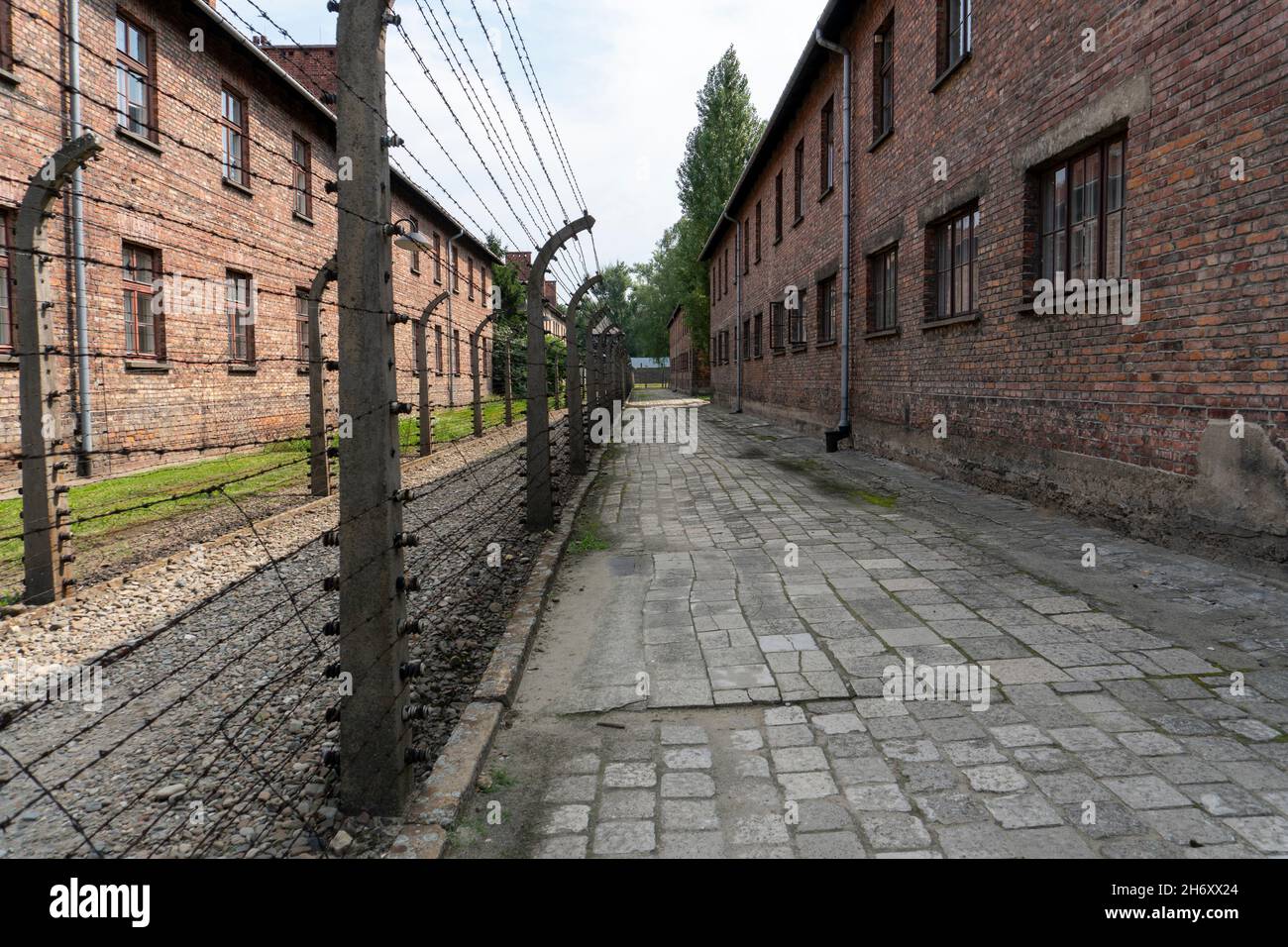 Pologne, petite Pologne, village d'Oswiecim, Auschwitz Birkenau, camp allemand de concentration et d'extermination nazi (1940-1945) Banque D'Images