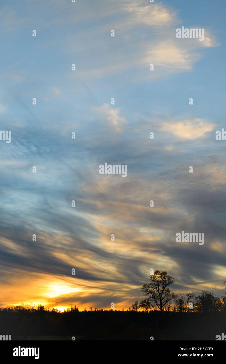 Nuages lumineux dans le ciel au coucher du soleil au-dessus d'une ligne d'horizon forte.Un seul arbre dominait le bord de la terre et se tient devant l'orange vif Banque D'Images