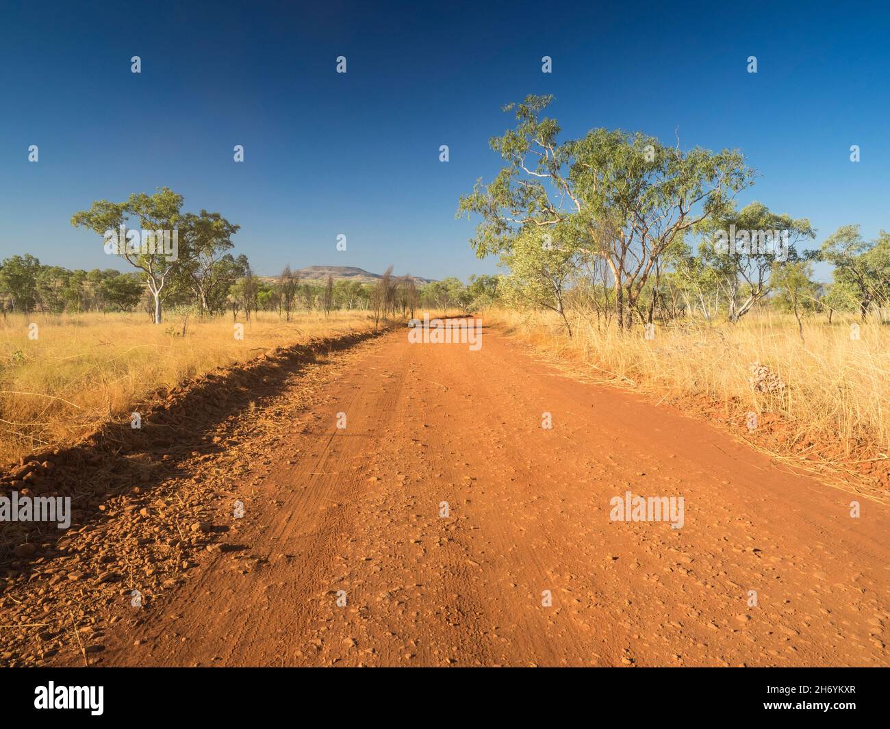 Mornington Road traversant la savane près de Mount House, Kimberley, Australie occidentale Banque D'Images