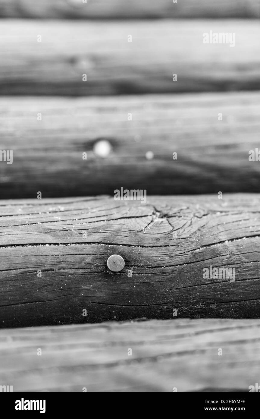 Mise au point sélective verticale en niveaux de gris a tourné un clou dans une bûche en bois Banque D'Images