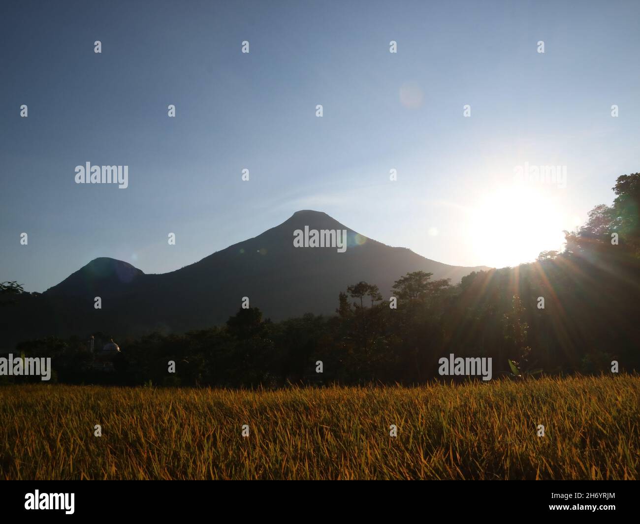 MOJOKERO, INDONÉSIE - juin 06, 2019: Belle vue sur le champ de riz, les arbres et les montagnes avec des nuages blancs dans le ciel bleu Banque D'Images