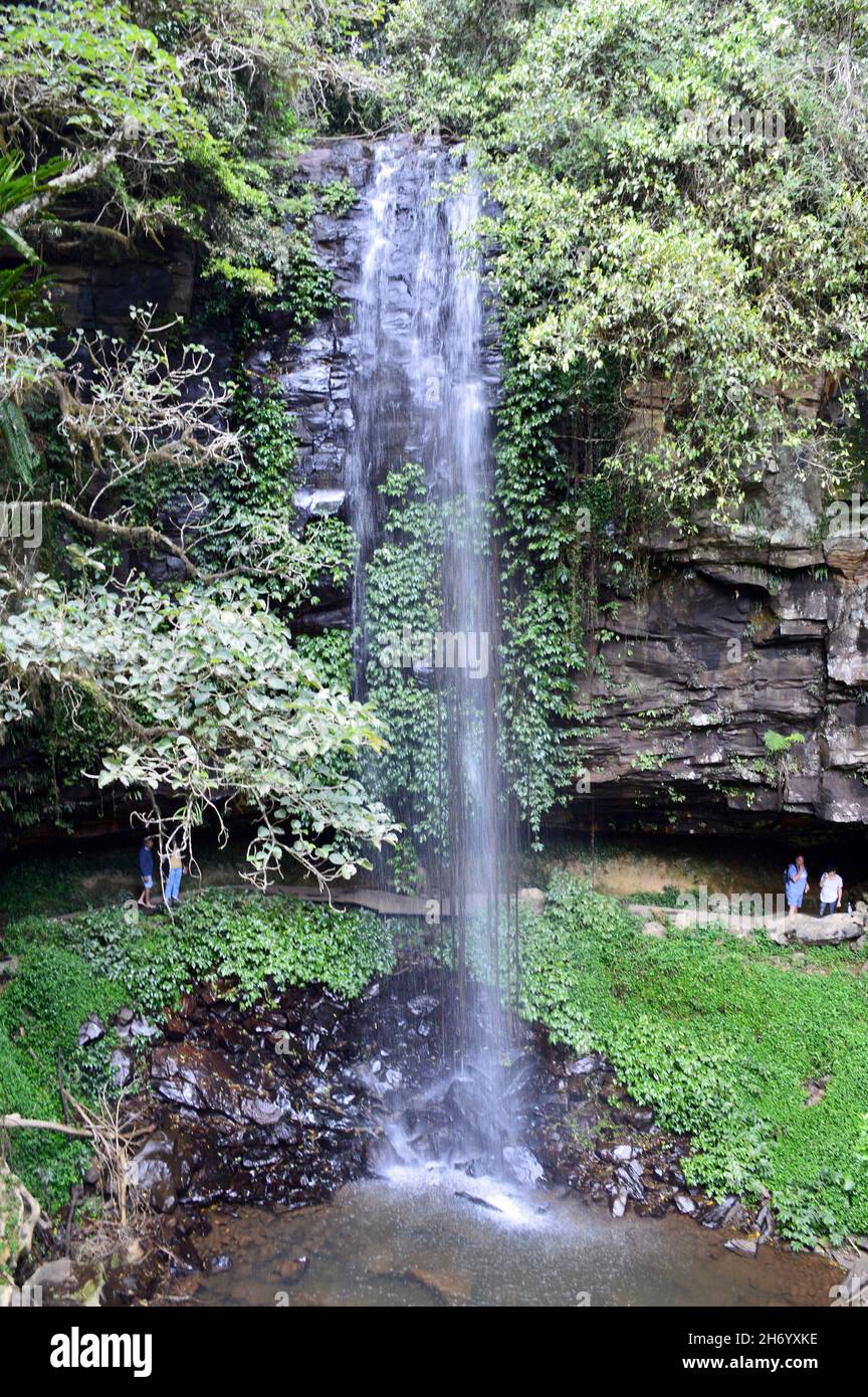 Vue sur Crystal douche Falls sur Waterfall Way, Nouvelle-Galles du Sud Banque D'Images