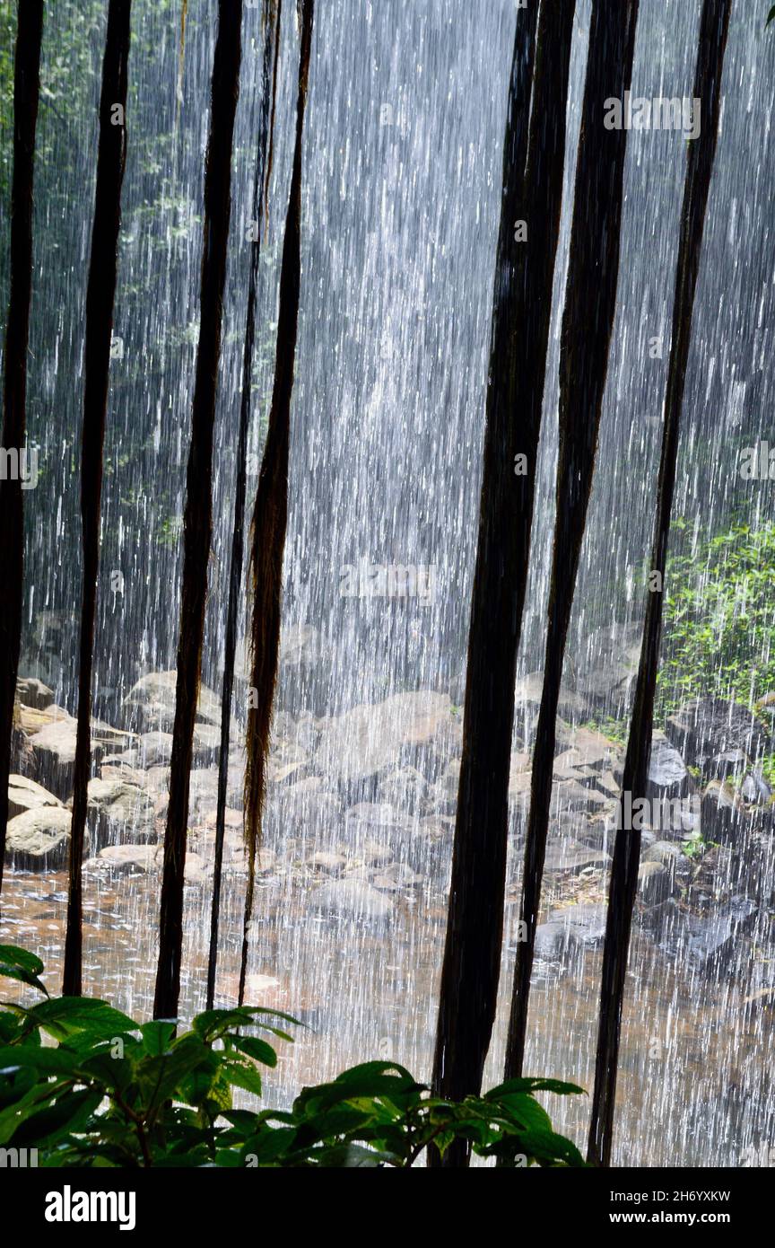 Vue sur Crystal douche Falls sur Waterfall Way, Nouvelle-Galles du Sud Banque D'Images