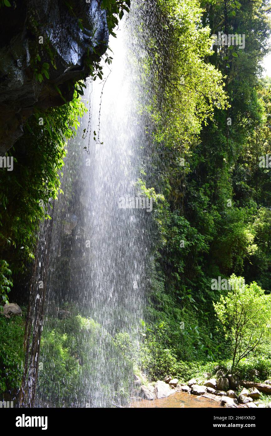 Vue sur Crystal douche Falls sur Waterfall Way, Nouvelle-Galles du Sud Banque D'Images