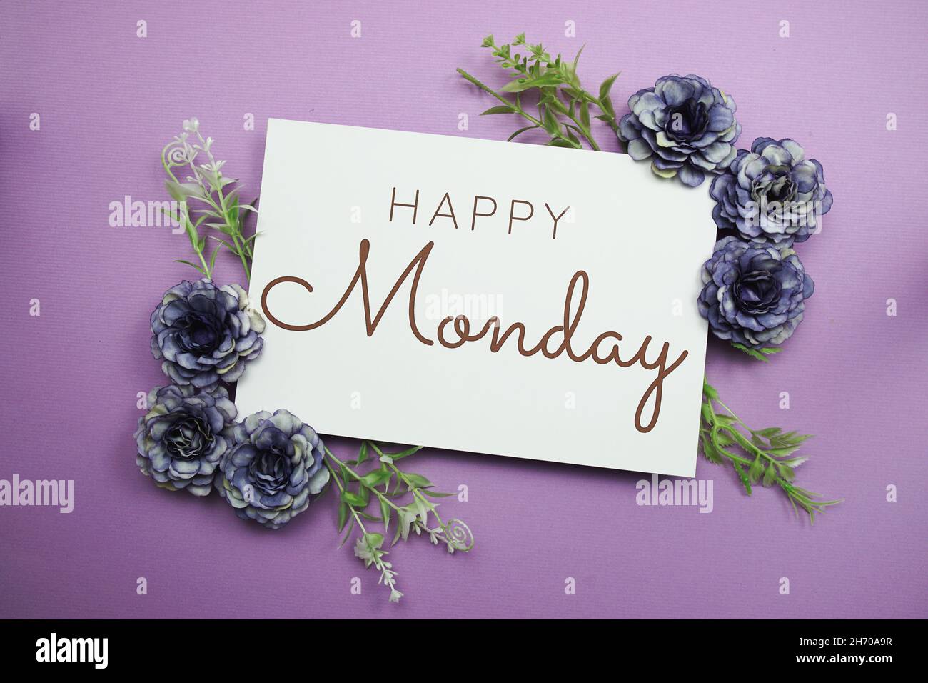 Texte typographique Happy Monday avec fleurs sur fond violet Banque D'Images