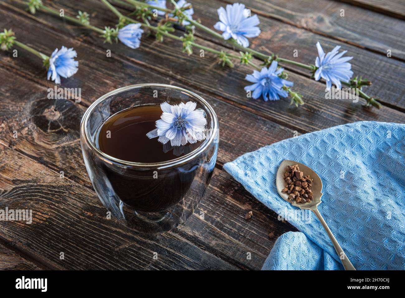 Alternative sans caféine à la boisson à base de café faite de chicorée dans  une tasse en verre thermo, tiges de chicorée en fleur, serviette en lin  bleu et cuillère avec chi
