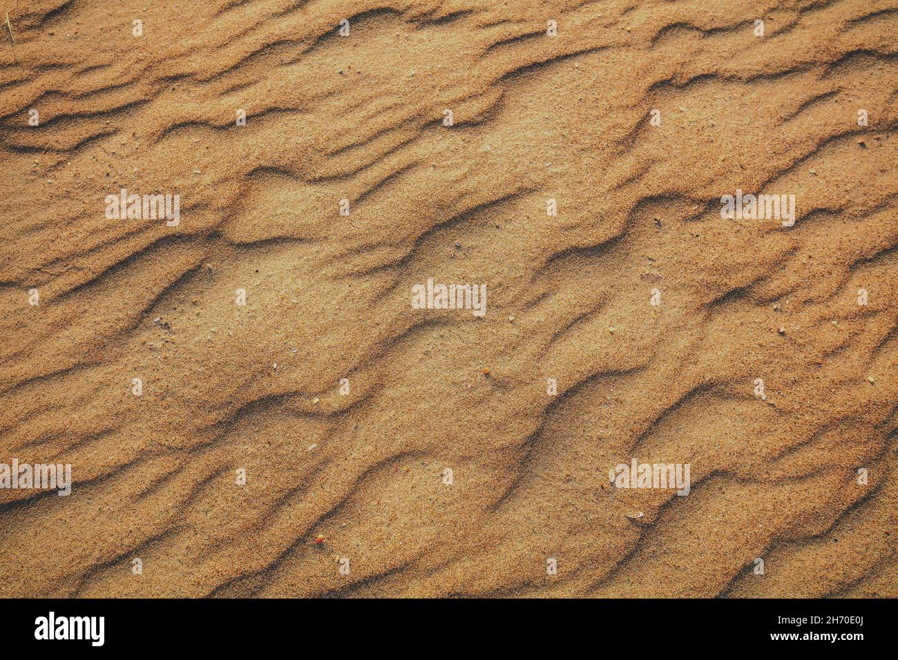 Arrière-plan abstrait et ondulé. Texture sable de plage Banque D'Images
