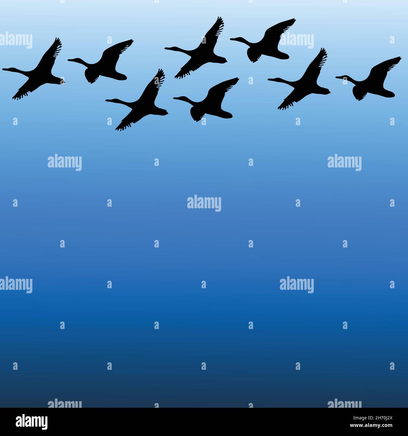 illustration du vecteur de couleur de la silhouette des oiseaux migrateurs sur le ciel Illustration de Vecteur
