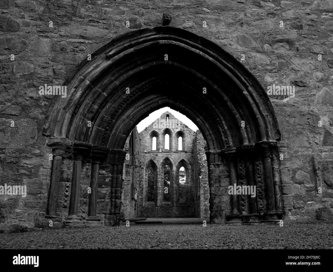 Gray Abbey est un prieuré cistercien ruiné dans le village de Grayabbabababababababababas, en Irlande du Nord Banque D'Images
