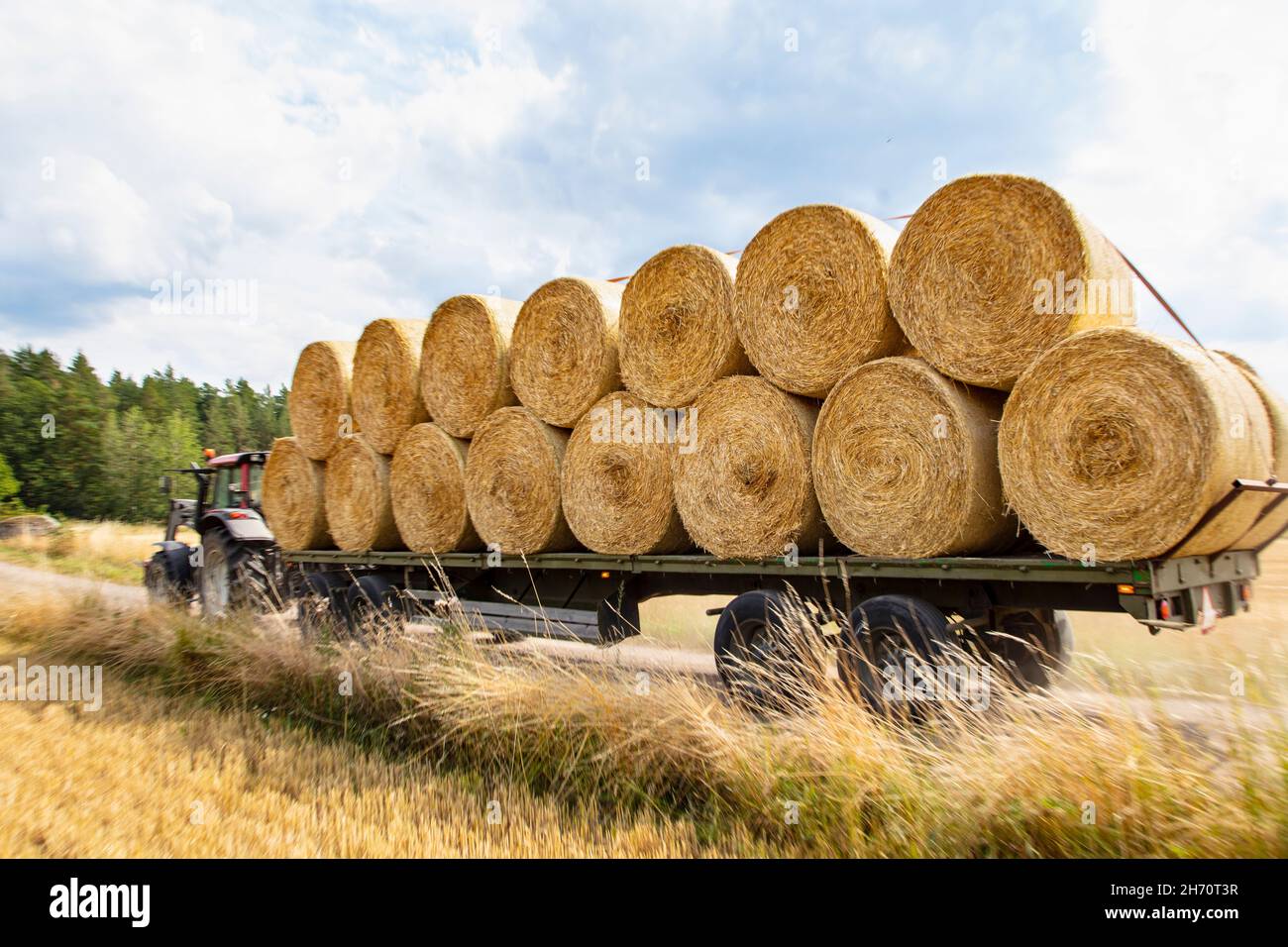 Hay bales stacked sur remorque Banque D'Images