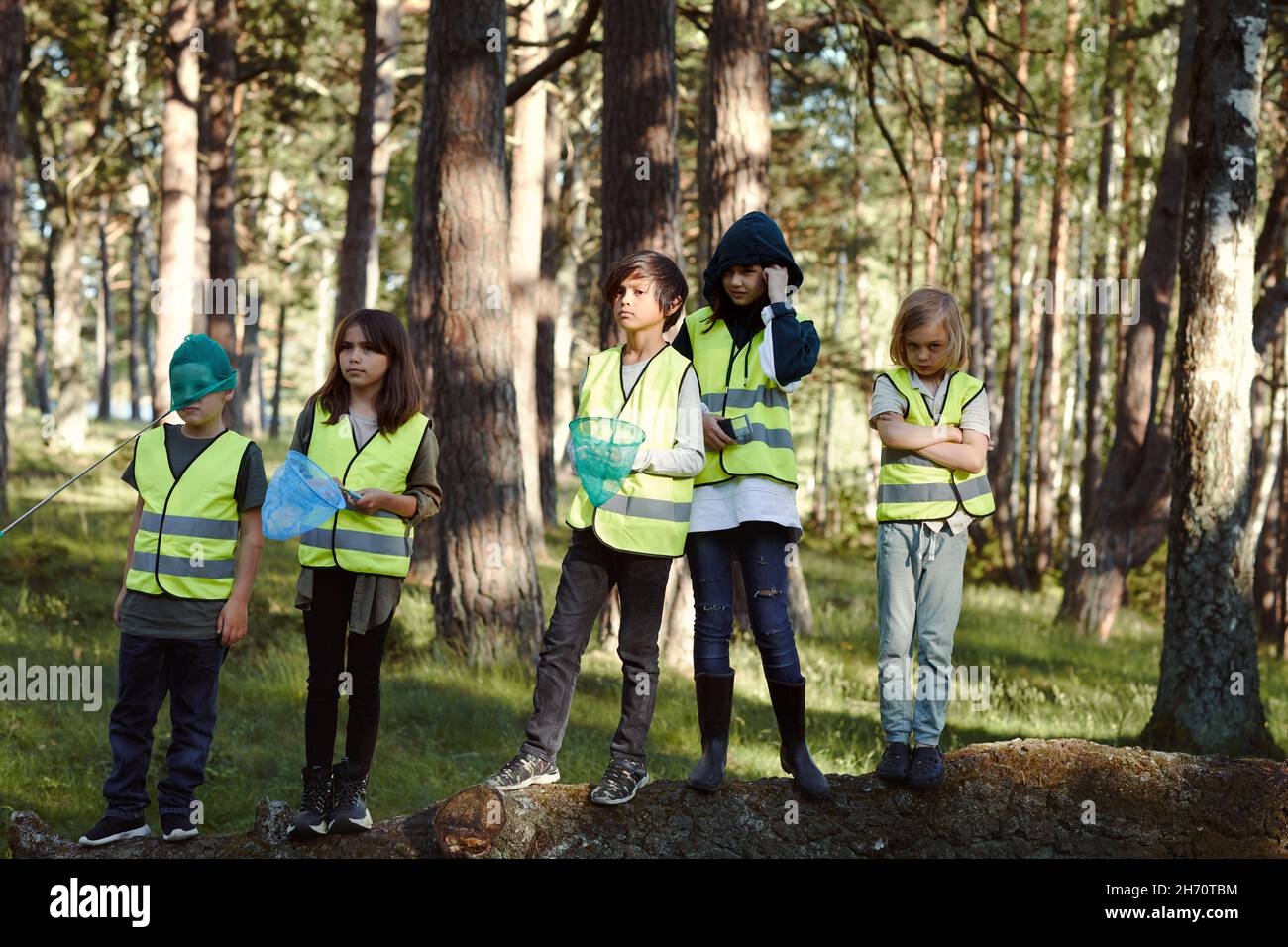 Les écoliers en forêt Banque D'Images