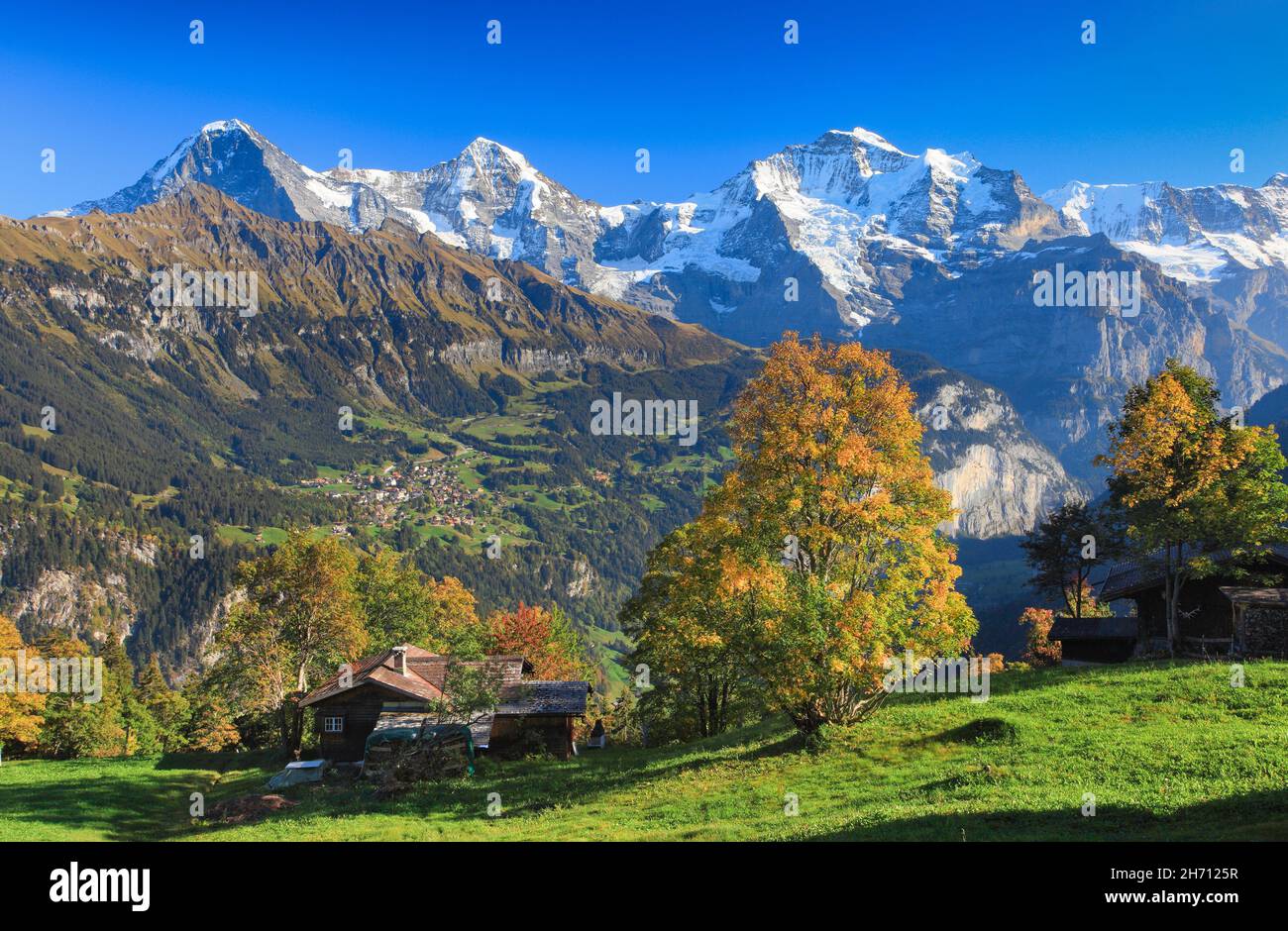 Vue de Sulwald au village de Wengen au pied de l'Eiger (3970 m), Moench (4107 m) et Jungfrau (4158 m) dans l'Oberland bernois, Suisse Banque D'Images