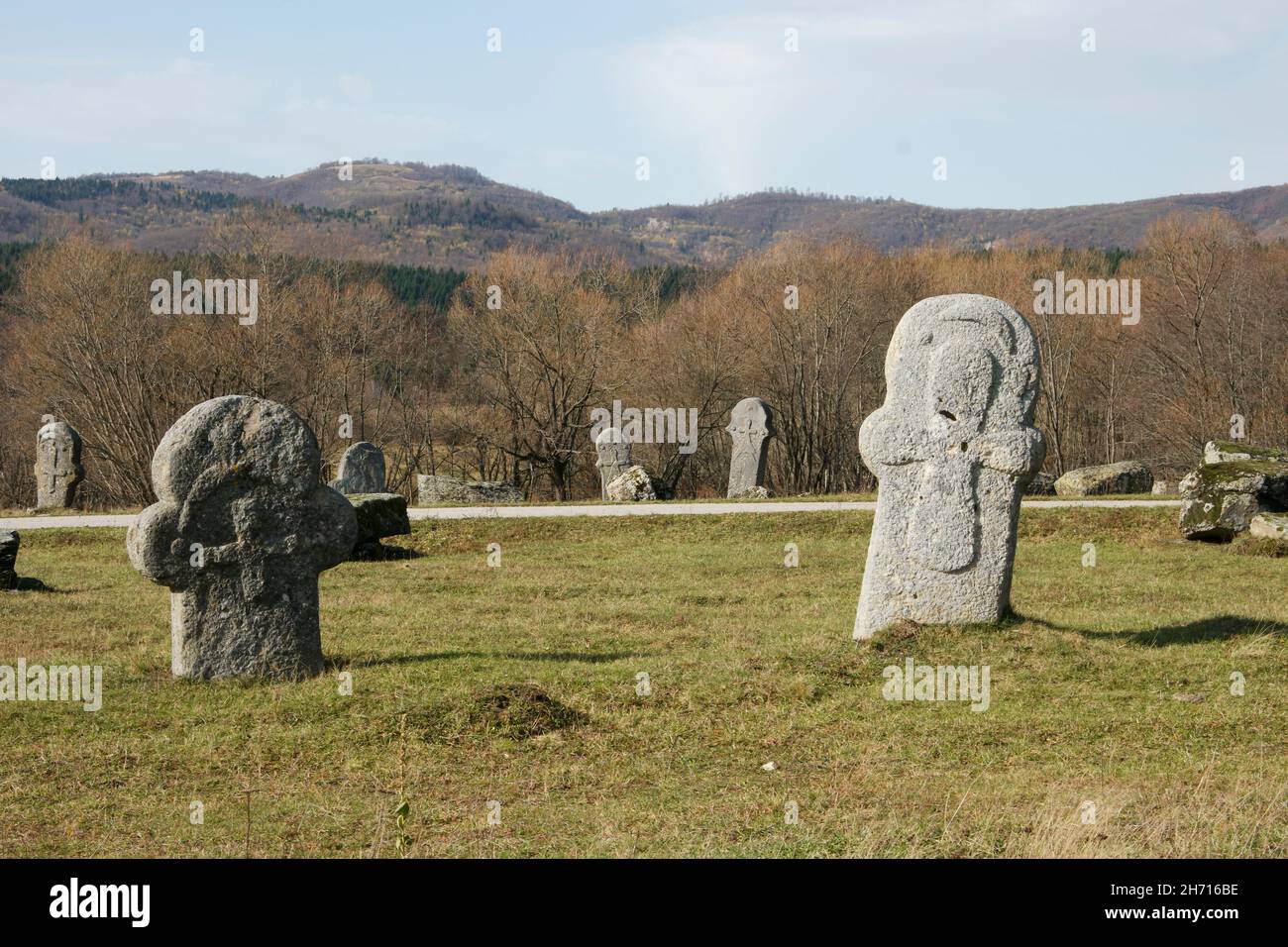 Nekropa sa stećcima Maculje : cimetière avec pierres tombales monumentales médieavales (Rostovo, Novi Travnik, Bosnie-Herzégovine), patrimoine culturel mondial Banque D'Images