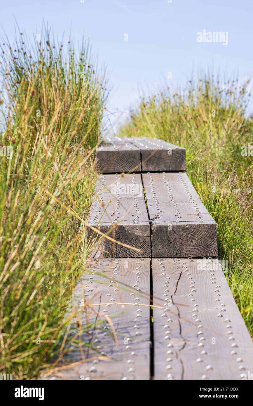 Passerelle à gradins fabriquée à partir de traverses de chemin de fer et de clous en U pour l'adhérence à travers le terrain de boggy sur le Spinc, Glendalough, comté de Wicklow, Irlande Banque D'Images