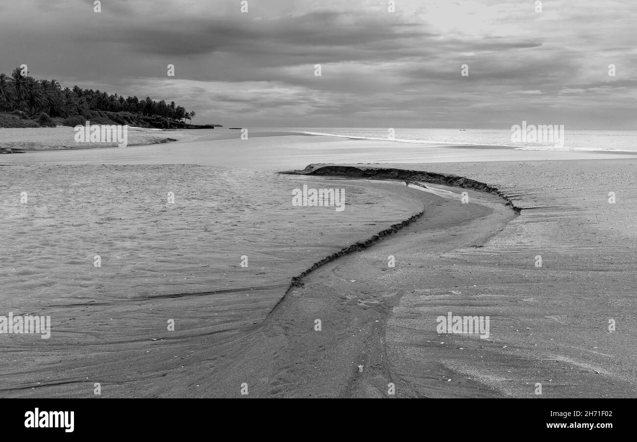 Plage de sable flanquée de quelques palmiers et de la mer d'Arabie à marée basse et sous un ciel nuageux au crépuscule le long du village de Thottada, Kannur, Kerala, Inde. Banque D'Images