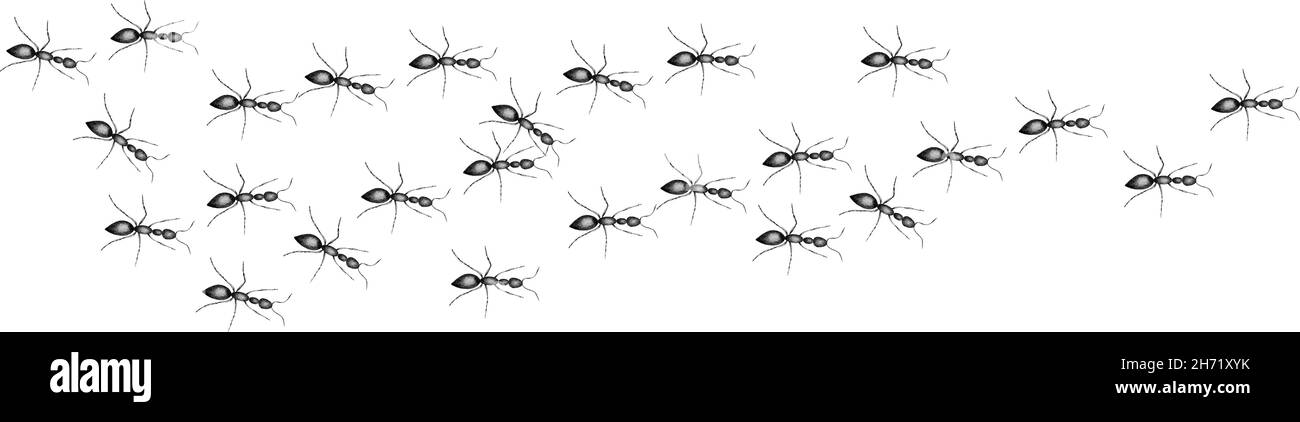Une colonie de travailleurs fourmis.dessin d'esquisse.fourmis rouges ouvrant la voie à leur but. Illustration de Vecteur