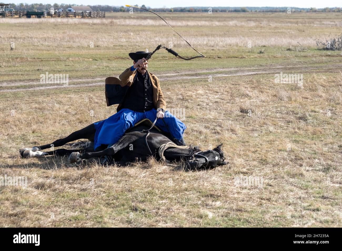 Un Csiko hongrois fait un cheval couché sur son épaule, Hortobagy National Park, Hongrie Banque D'Images
