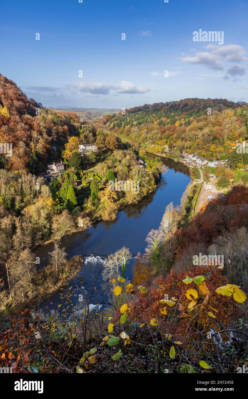La rivière Wye à Symonds Yat en automne, Forest of Dean, Herefordshire, Angleterre Banque D'Images